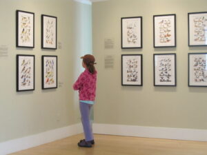 Keith Hansen: Birds of the Sierra Nevada