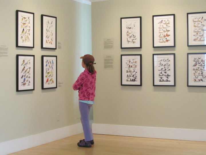 Keith Hansen: Birds of the Sierra Nevada