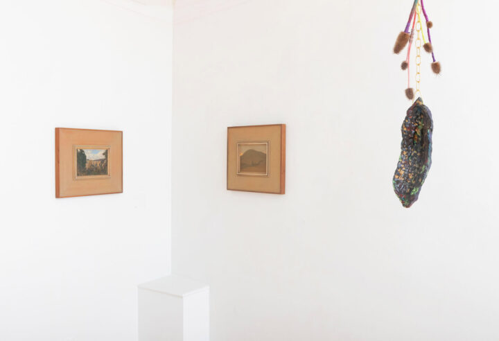 New Geographies curated by Ivan Iannoli