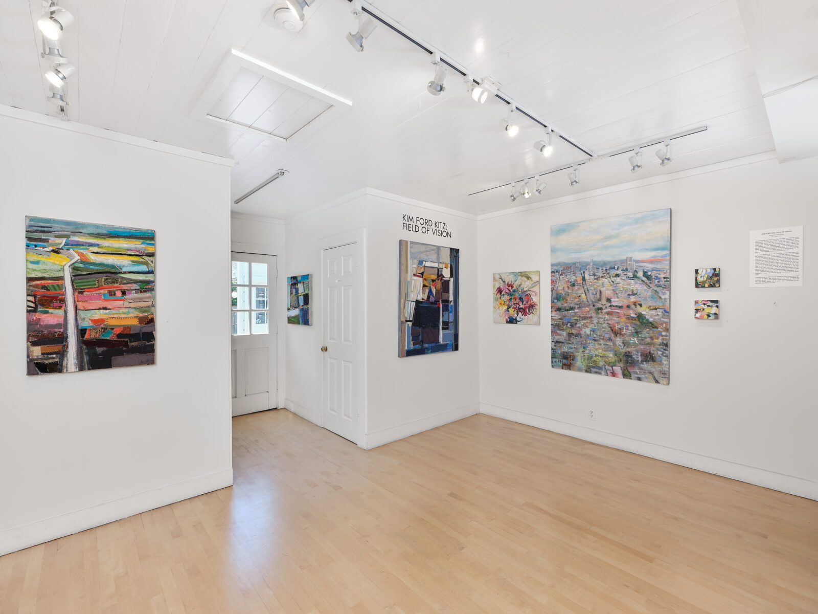 Kim Ford Kitz: Field of Vision