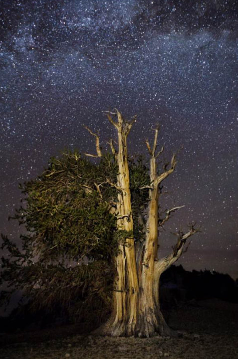 Beth Moon