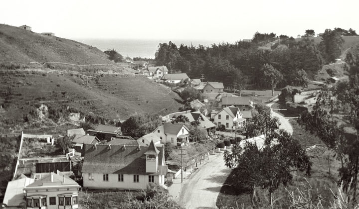 Brighton Avenue