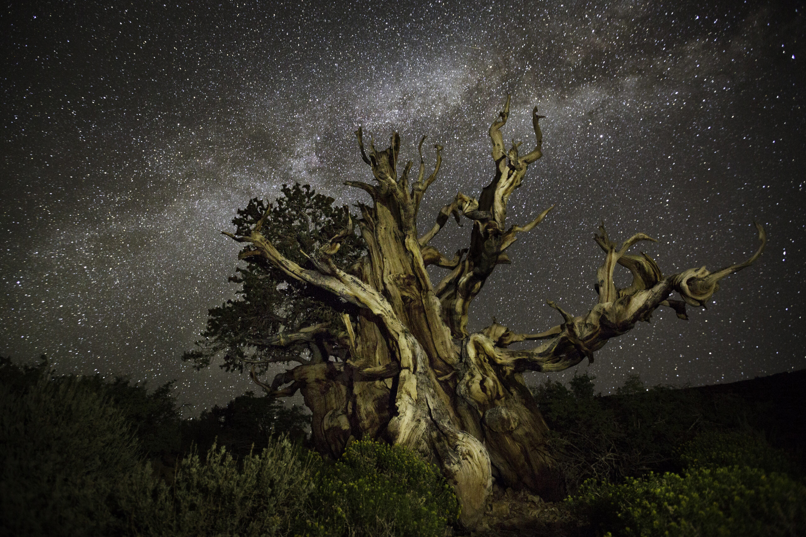 Beth Moon: Diamond Nights, California