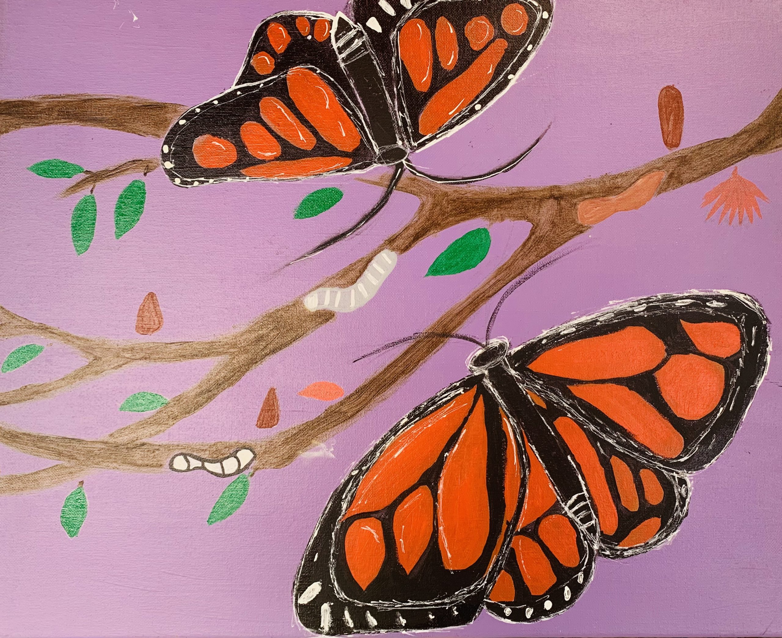 Bolinas-Stinson School Student Exhibition 2022