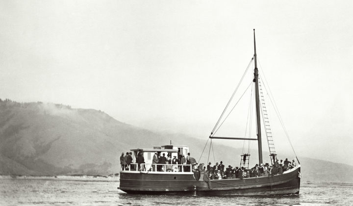 The Owl Leaving Bolinas on the 4th of July