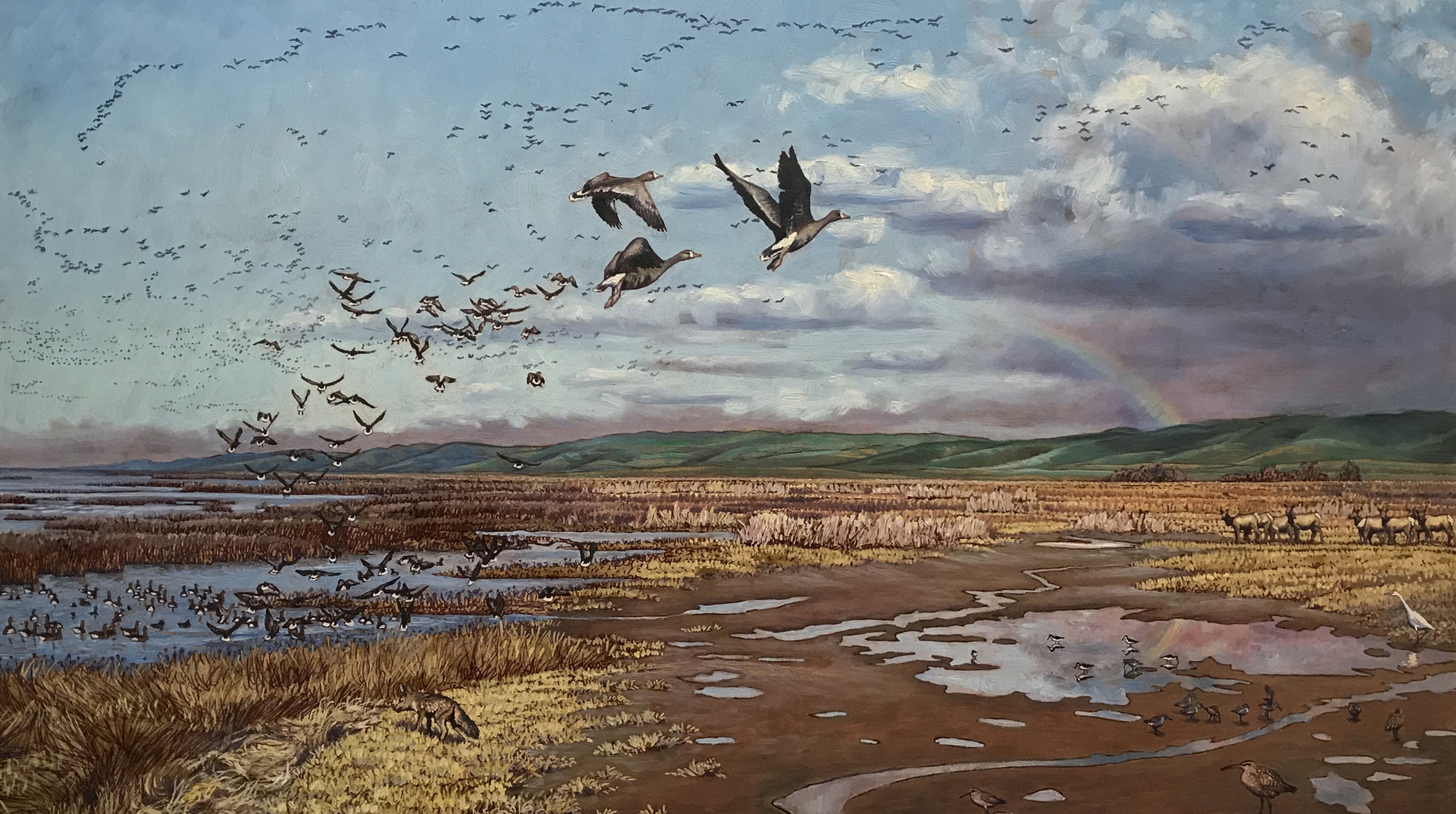 Changing California: Historical Ecology of the Bay Area