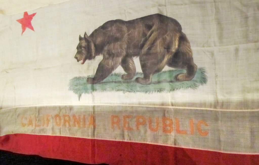 California state flag with hand painted bear