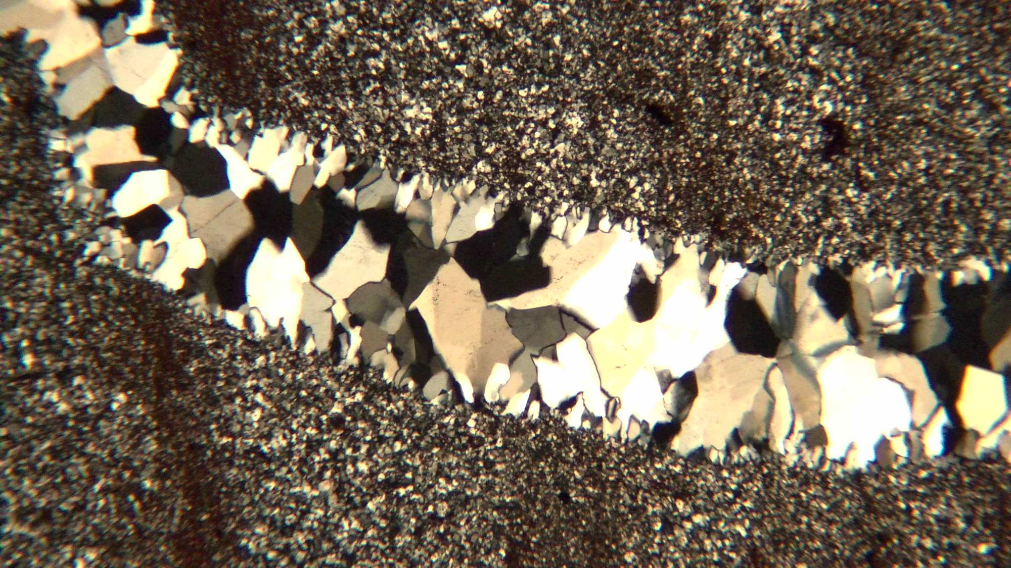 Rob Gailey: Photomicrographs Reveal Stories within Rocks