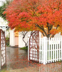 Opening Reception for Fall Exhibitions