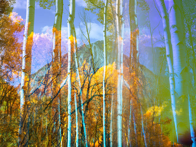 Altered Earth